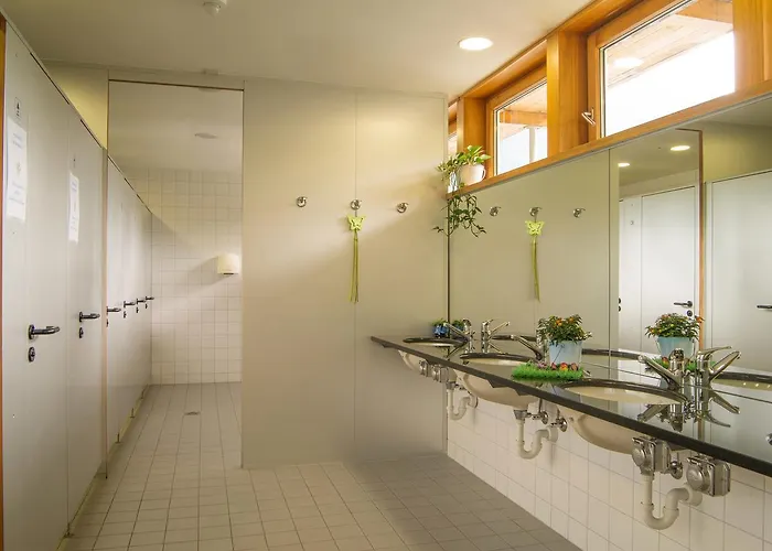 Boomerang بوشيافو